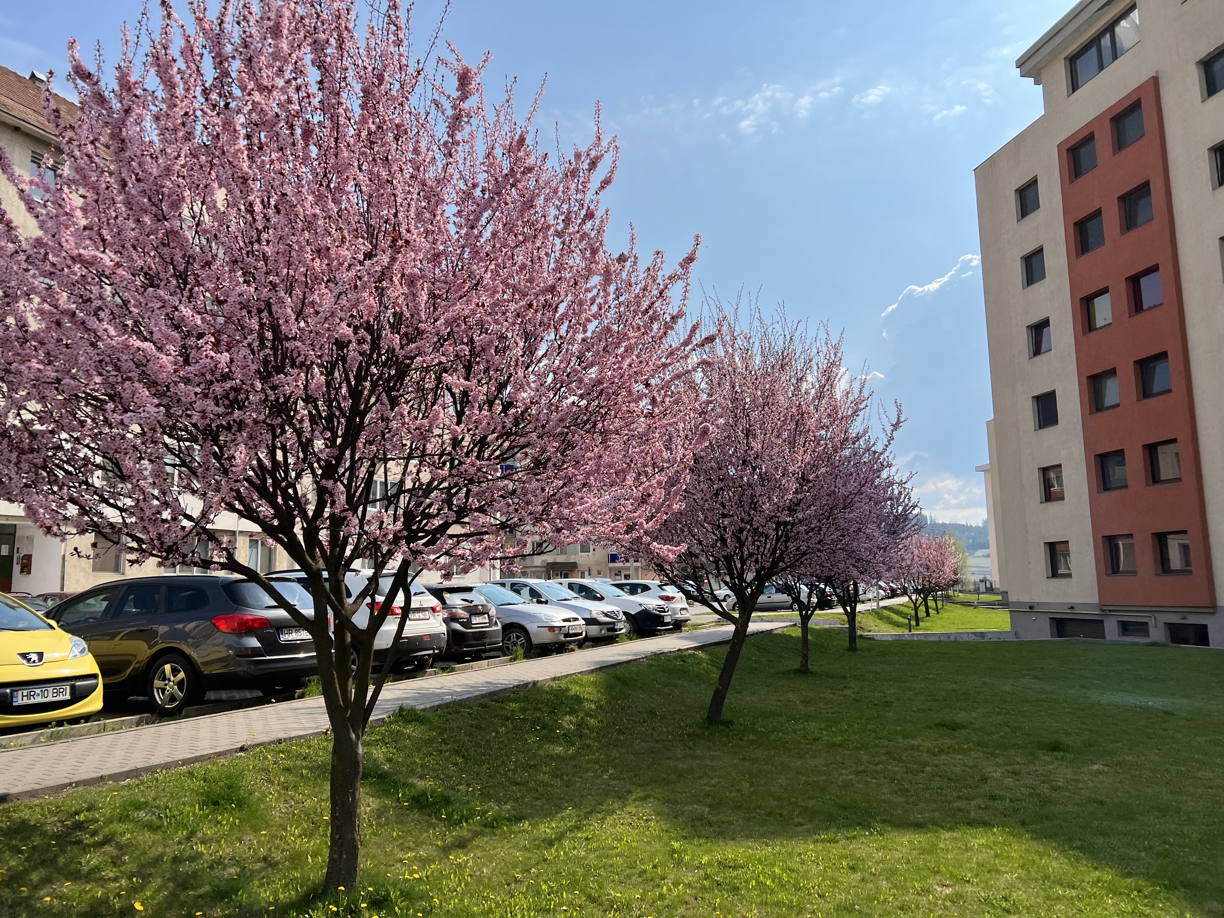 Kültéri burkolatok kivitelezése – Fortuna Park